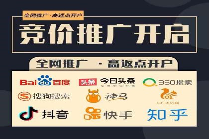 SEM推广实战：成功案例解读与策略调整